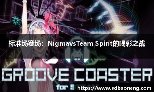 标准场赛场：NigmavsTeam Spirit的喝彩之战