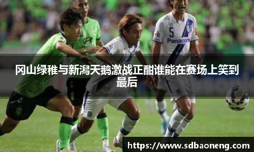 尊龙凯时